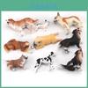 Pvc Saint Bernard Model With Realistic Animal Figures For Collectors And Dog Enthusiasts