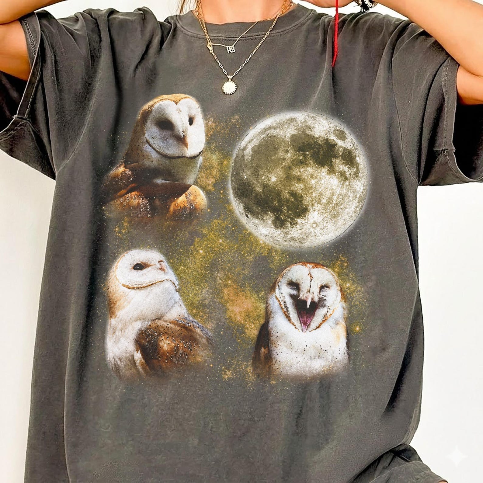 Vintage Barn Owl Moon T-Shirt, Comfort Colors Bird Lover Tee 2XL