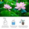 Aquatic Plant Fertilizer Water Lily Effective Plant Blossom Booster water lily nutrient powder fertilizer to promote flowering