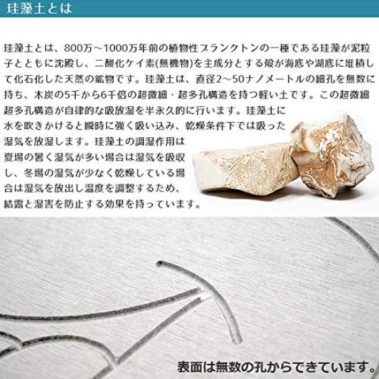 in Disney Diatomaceous Earth Bath No Washing Perfect for Baths and and Dust Suitable for Kids [Asbestos-tested Japan] Mat, Large, 55x40cm,