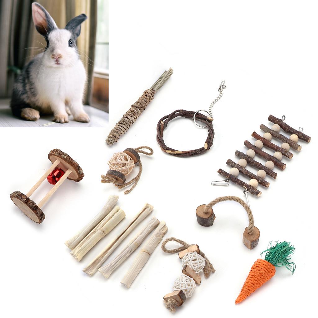 Little Pets Chew Toy Set Safe Non Toxic Relieve Stress Pet Molar Toys for Hamsters Guinea Pigs