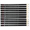Professional Drawing Art Sketch Graphite Pencils,