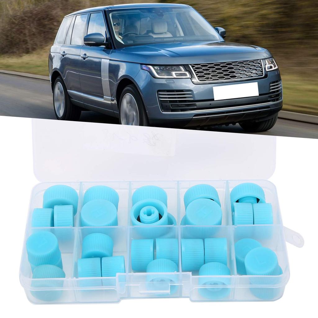 Air Conditioner Valve Cap Air Conditioner Cap Dust and Particle Repellent Auto Accessories