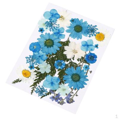 Gedroogde Bloemen DIY Decoratief voor Hars Sieraden Maken Knutselen Nagels Stickers