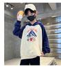Boys' hoodie, spring and autumn hooded, children's boys' trendy coat, Korean version sports loose and trendy casual clothes top