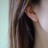 Exquisite Arc Shell Pearl Zircon 925 Sterling Silver Plated 14K Gold Earrings for Women Gentle Small Elegant Jewelry Accessories