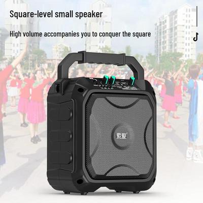 SA-F22 Portable KTV Speaker with Microphone CN Plug (adapter Included)