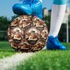 Titanic Indoor Soccer Ball Size 5 Colorful All Ages Machine Stitched PVC Competition Ready Durable High-Bounce