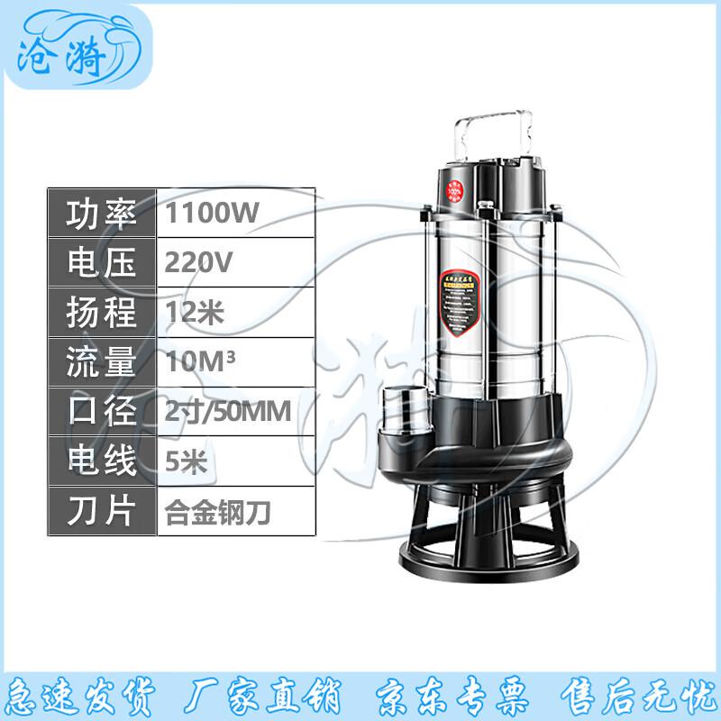 Cangyi Submersible Industrial Sewage & Cutting Pump