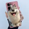 Phone Shell For OPPO Reno 13 F 5G Case Silicone Soft Cover Super Funny Cute Animals Painted For OPPO Reno 13 F 13F Reno13F Cases