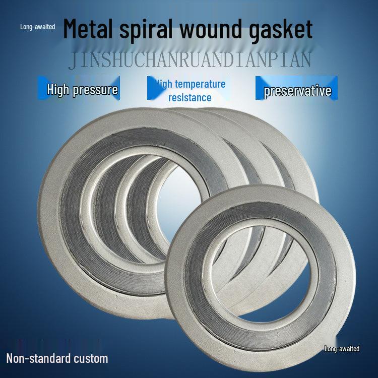 DN50 B-type Metal Wound Gasket with Inner & Outer Rings, Graphite, 304 Stainless Steel Flange