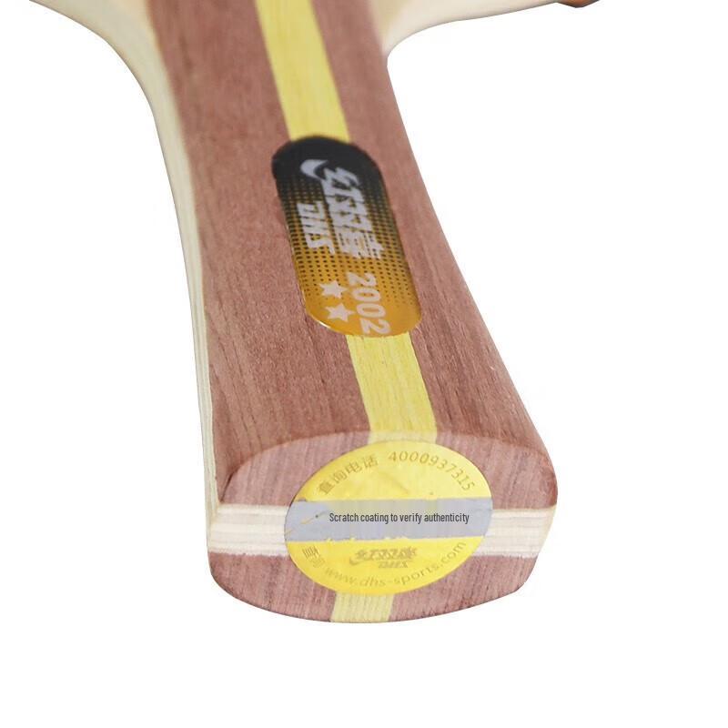 DHS 2-Star Table Tennis Racket