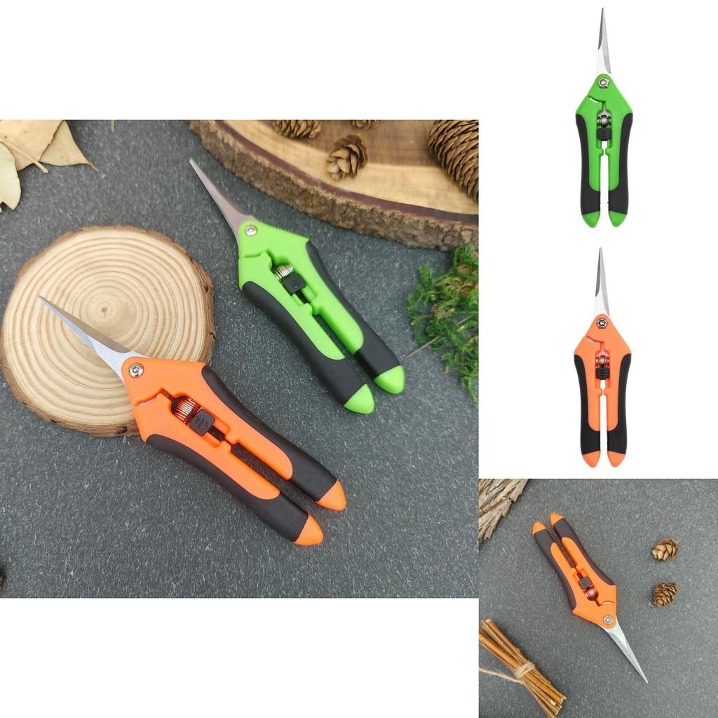 Moderne Gartenschere mit Edelstahlkonstruktion für Fruchternte und Baumpflege