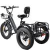 PULUMA SL001 Dual Motor Electric Cargo Trike, Dual Battery 48V 27Ah 7-Speed with Hydraulic Brakes