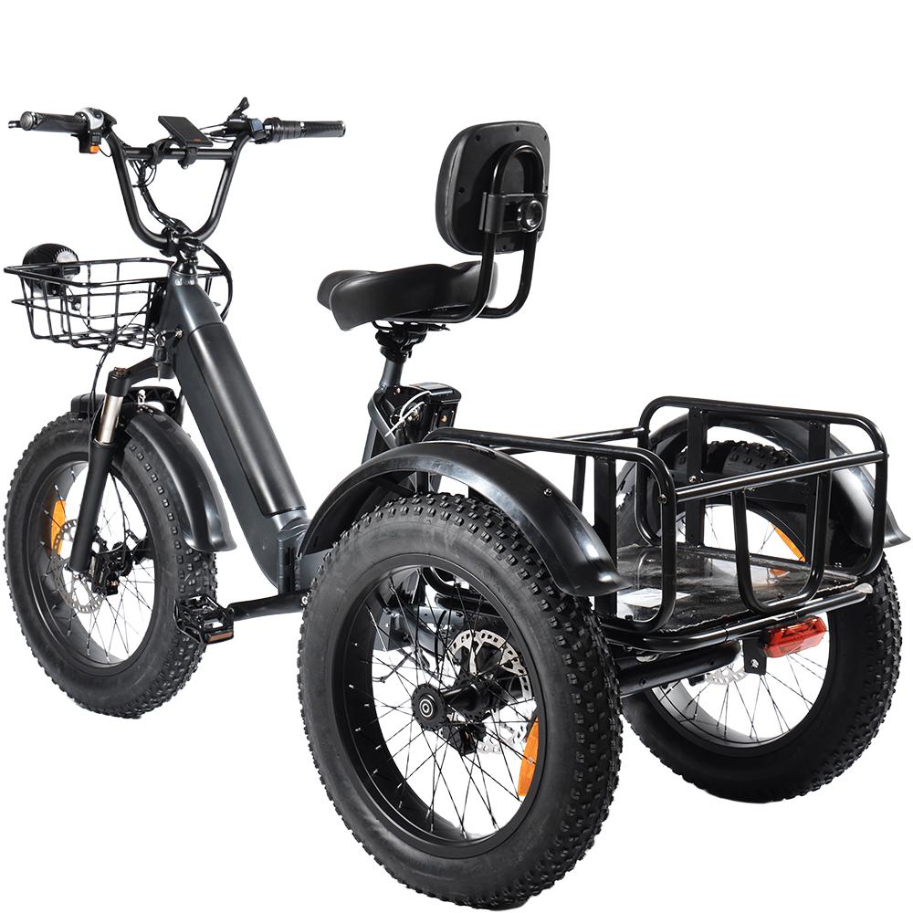 PULUMA SL001 Dual Motor Electric Cargo Trike, Dual Battery 48V 27Ah 7-Speed with Hydraulic Brakes
