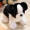 Leuchtendes Border Collie Plüschtier LED-Licht Kindergeschenk Für Kinder
