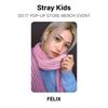 Stray Kids DO IT POP-UP STORE MERCH EVENT Official Photocard
