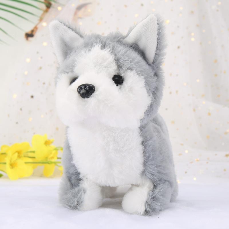 Elektrická hračka pro psa