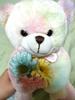 [USED] Teddy Bear, Rainbow Bear, Souvenir, Gift, Present