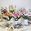 Flowers Artificial Phalaenopsis Decorative Plant For Home And Decoration Event