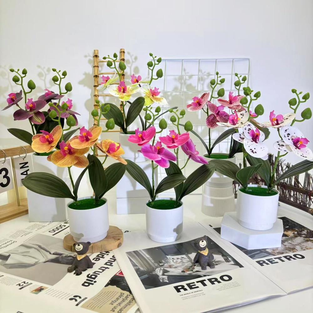 Artificial Phalaenopsis Flowers Decorative Plant For Home And Decoration Event