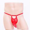 Sissy Lingerie Men Long Penis Sheath Underwear Mesh Transparent Elephant Nose Panties Sexy Hollow Male G-String T-Back Thongs
