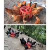 Detachable Chicken Feeding Trough Plastic Poultry Food Trough  For Goose Chicken Birds Pigeon