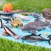 Children's Early Education Ocean Fish Model Toy: Megalodon, Whale Shark, Tuna