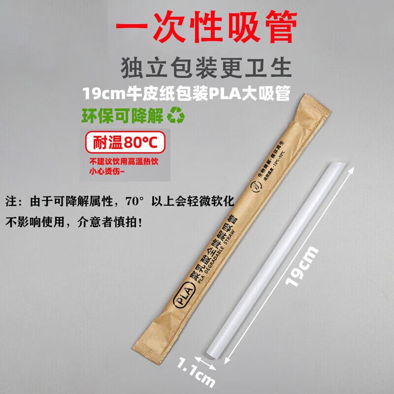 Homeglen Individually Wrapped Biodegradable Large Straws