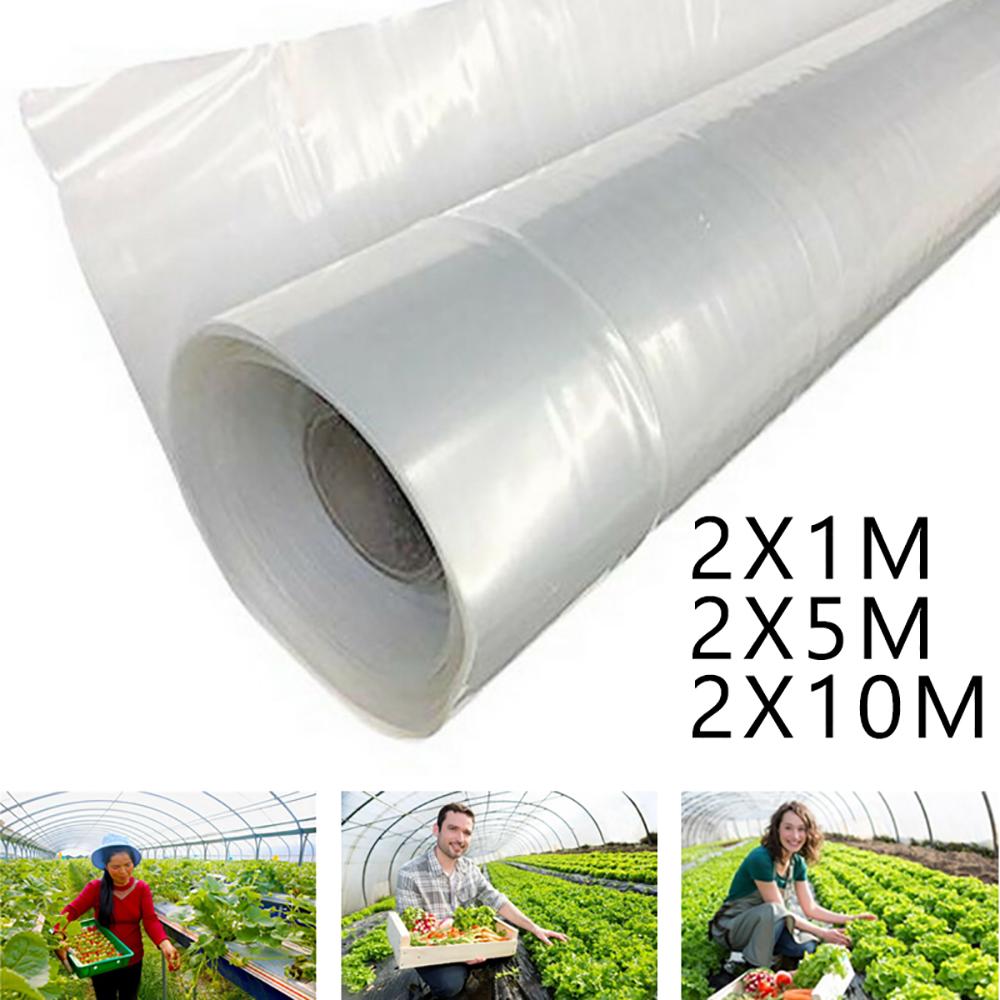 Premium Polyethylene Greenhouse Film Garden Poly Tunnel Clear Plastic Single Layer Greenhouse Plants Metal Frame Protector Roof Panels Foil Hothouse Premium Polyethylene Greenhouse Film Garden Poly Tunnel Clear Plastic Single Layer Greenhouse Plants Metal Frame Protector Roof Panels Foil Hothouse