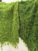 Moss Lawn Greenery: Landscape Turf, Living Wall, Aquaterrarium, and Bonsai Substrate