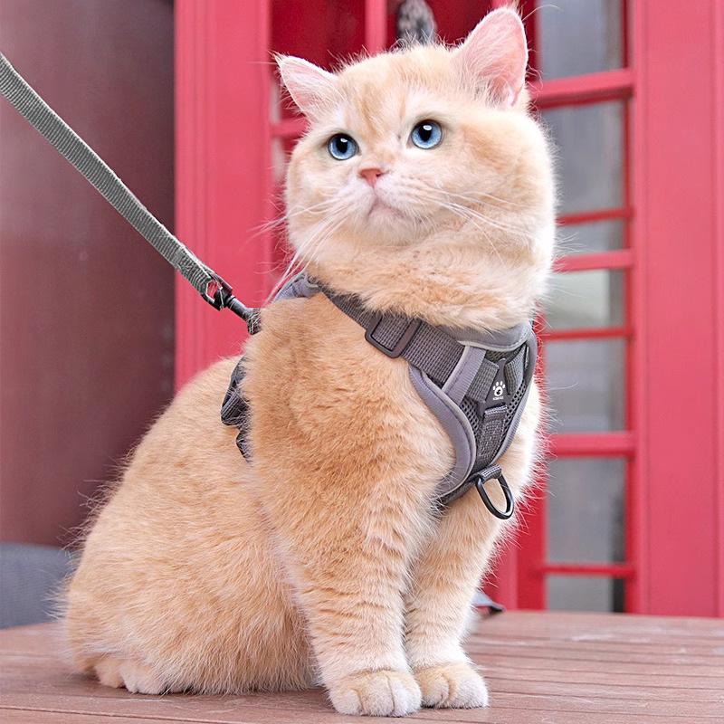 Reflective Vest-Style Cat Leash & Breathable Harness for Small/Medium Pets