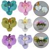6 Colors Silk Orchid Phalaenopsis Artificial Flower Butterfly Orchids Fake Flower For Home Christmas  Wedding Decoration Flores