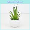 Aloe Vera Succulent Miniature Green Potted Plant For Home Office Desk Decor