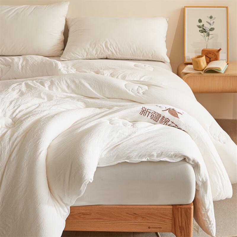 Arctic Velvet Xinjiang Cotton Winter Quilt