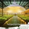 Професійне освітлення – Сільськогосподарські лампи