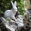 Lovely Rabbit Figurine Ornaments Cute Bunnies Sculpture Micro Landscape Animal Figurine  Table