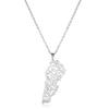 Hollow Out Lebanon Charm Neckchain Versatile Titaniums Steel Necklace Adjustable Length Clavicle Chain for Parties