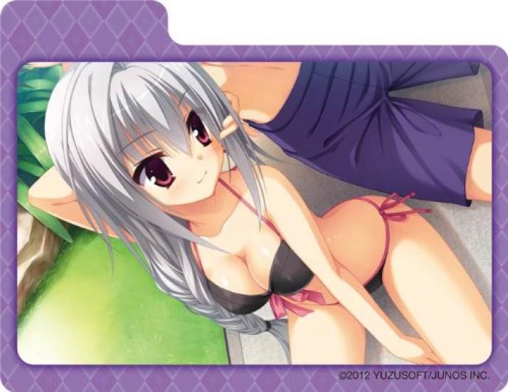 Character Deck Case Collection Oregovna DRACU-RIOT! “Elina Aven”