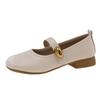 Spring and summer small skirt 2025 new French high heels small leather shoes women Mary Jane evening shoes thick heel single shoes