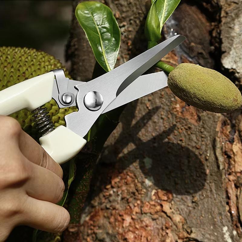Pruning Knives Fruit Tree Garden Branch Cutting Household Grafting Tools Stainless Steel Scissors For Flower Cutting Arrangement