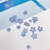 Mini Pressed Forget-Me-Not Flower Pack - Real Dried Flowers for Nail Art & Resin DIY