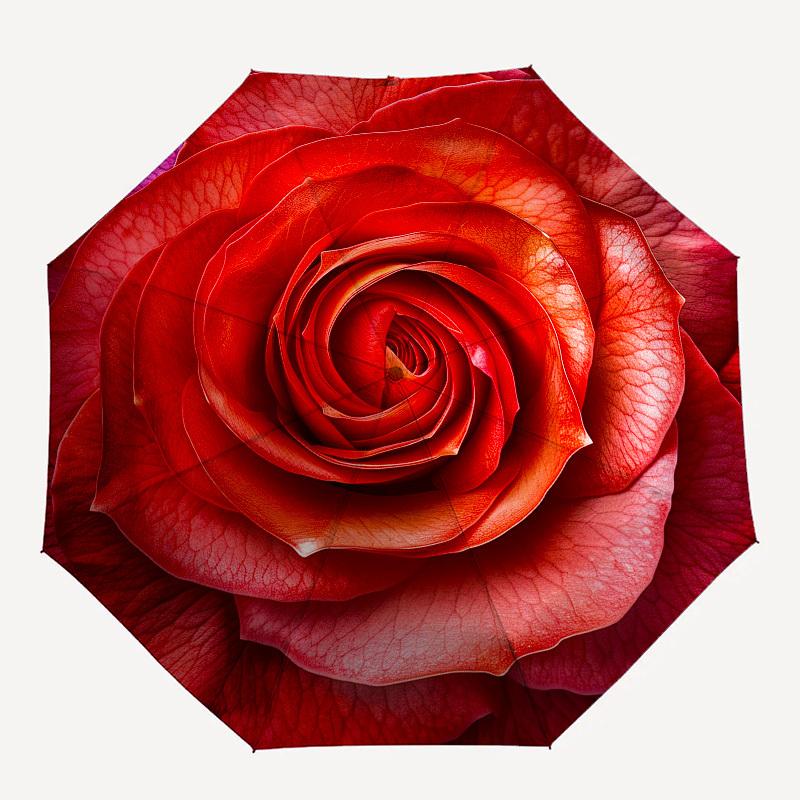 Rose Petals- Automatic umbrella,Suitable for Men and Women,Suitable for Birthdays, Christmas, Gifts for Fashion Lovers0916b