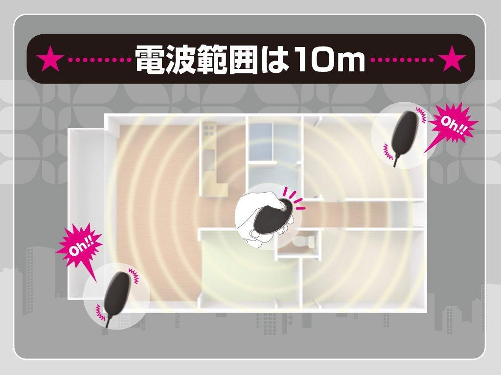 JAPANTOYZ nemo CHARGE Neo Rechargeable Remote Control Rotor Black ~Love&Leaf~