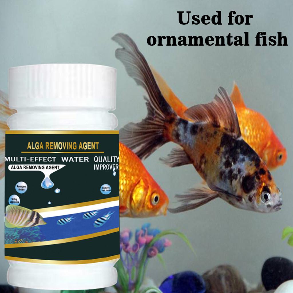 Buy Aquarium Algaecide Aquatic Algae Control Algae Detergent