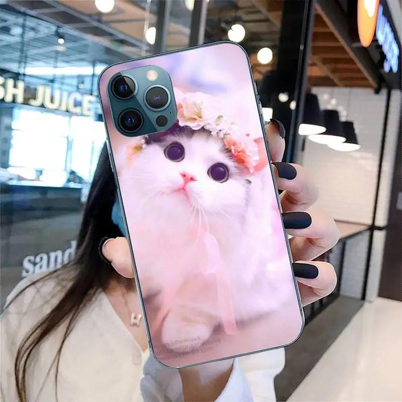 

Чехол для мобильного телефона iPhone15 Mini, милый чехол для мобильного телефона с изображением кота, с защитой от падения и ударов. iPhone 16 Plus