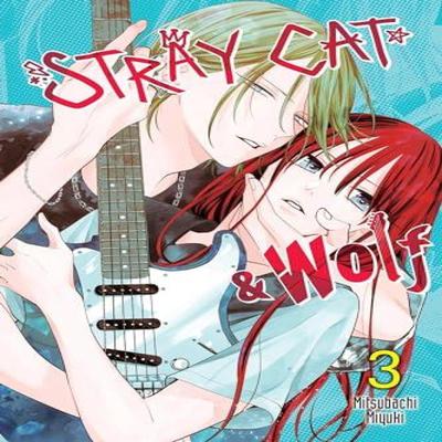 Stray Cat Amp Wolf Vol. 3 by Mitsubachi Miyuki Paperback Book 9781975370572