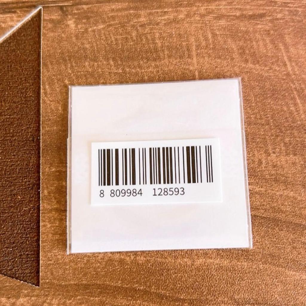 [USED] Bonus BTS JIN RJ wootteo Woot Key Ring Plush Toy