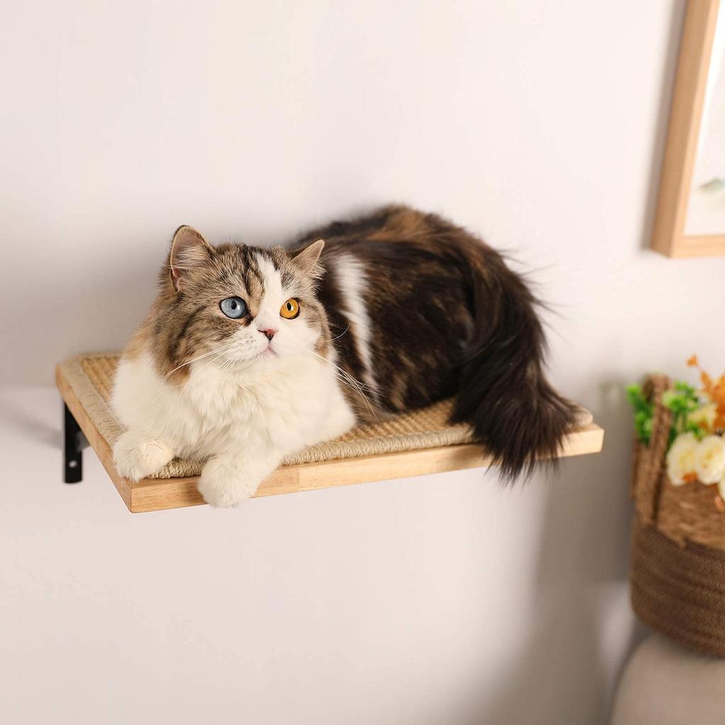 FUKUMARU Wall-Mounted Cat Steps/Catwalk, Wooden, Easy to Install
