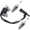 Ignition Coil for Generac 0G84420150 Generator 005939-0 005939-2 005939-6 005940-0 005941-0 005940-2 005941-3 006001-0 006673-0